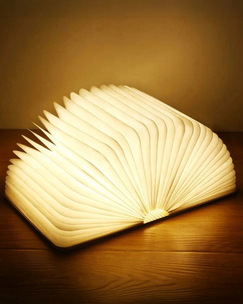 Luminous Foldable Book Lamp